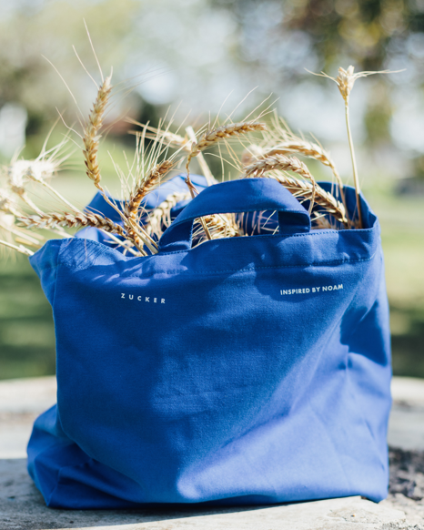THE NOAM TOTE BAG