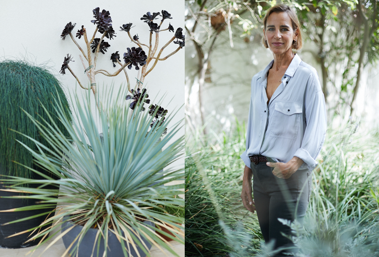 SHARON BAR GIL / CLINICAL HERBALIST