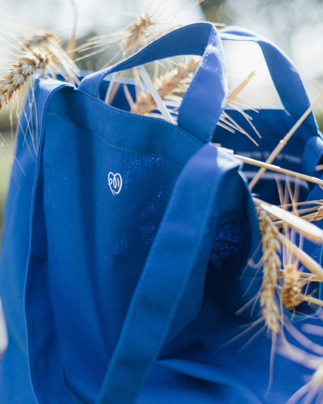 THE NOAM TOTE BAG